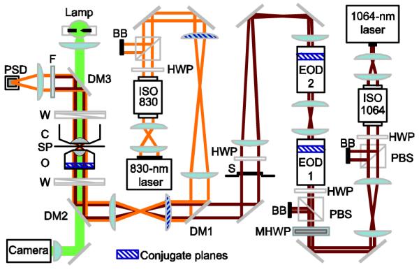 Fig. 1