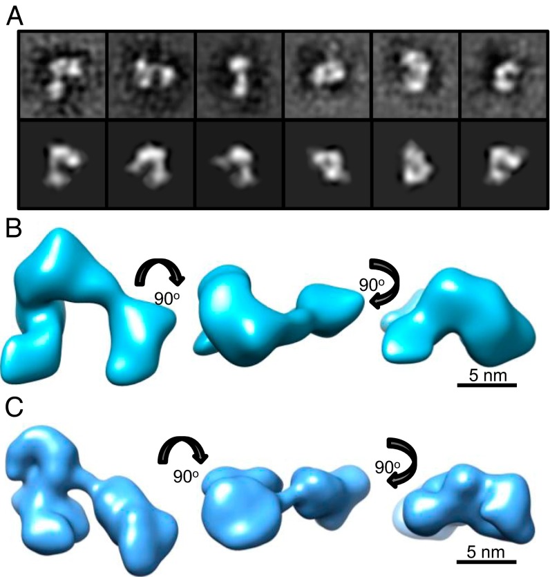 Fig. 2.