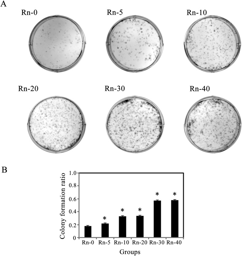 Fig. 5