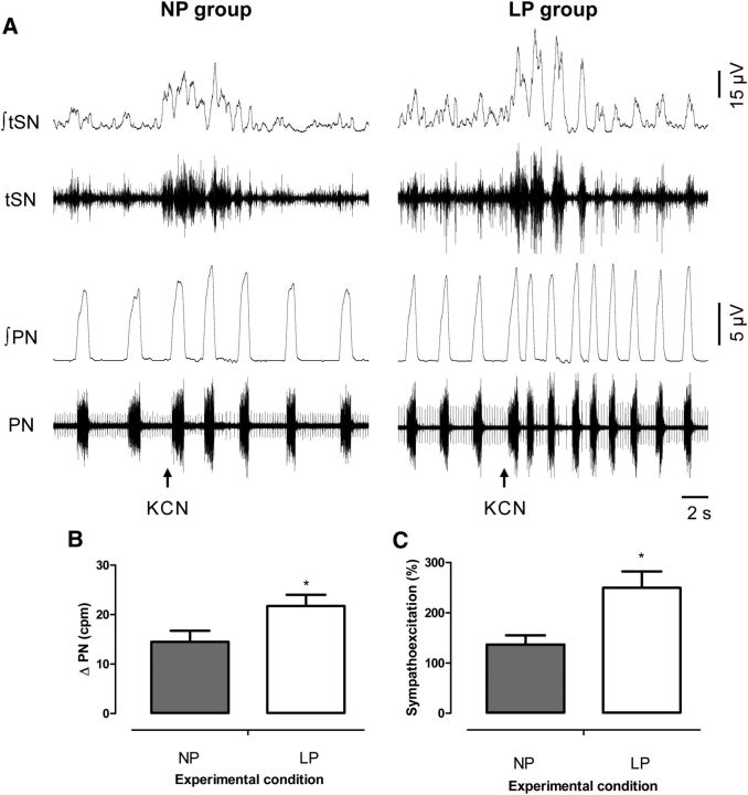 FIGURE 4