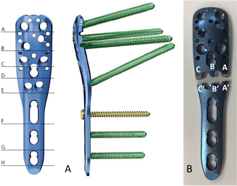 Fig. 3