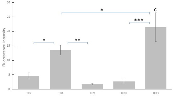 FIGURE 3