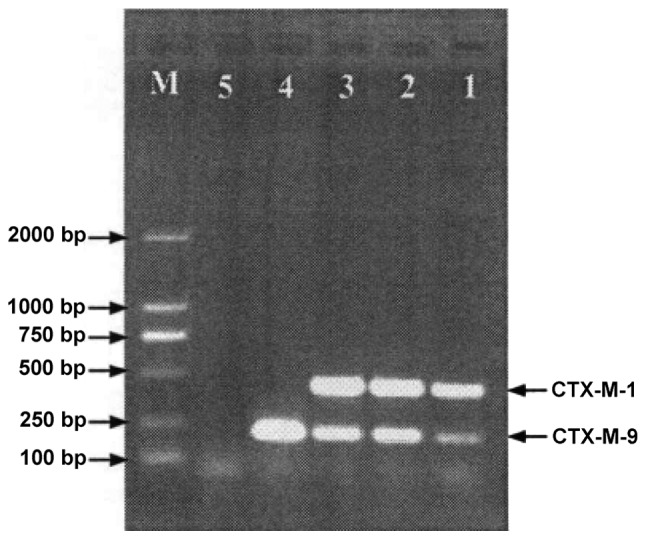 Figure 5.