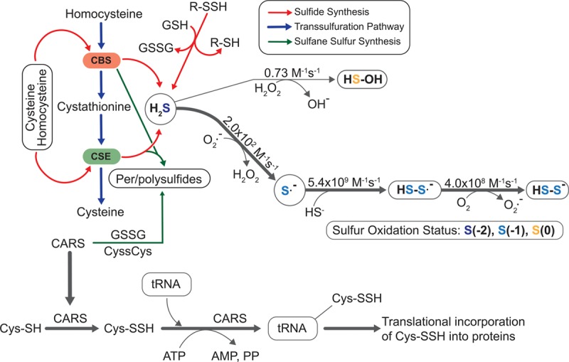 Figure 2.