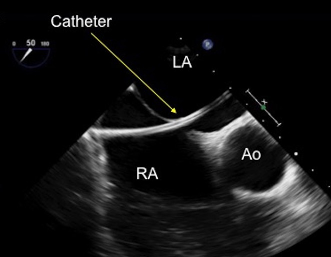 Figure 20