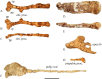 Fig 22