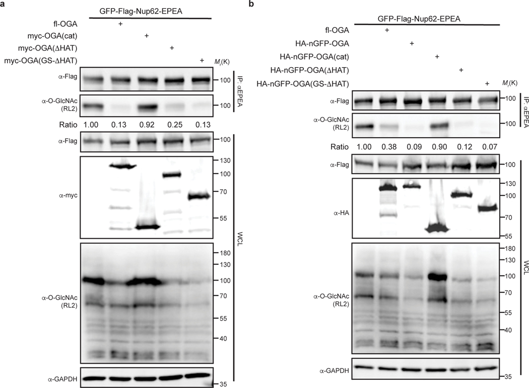 Extended Data Fig. 2