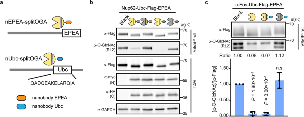 Fig. 4 |