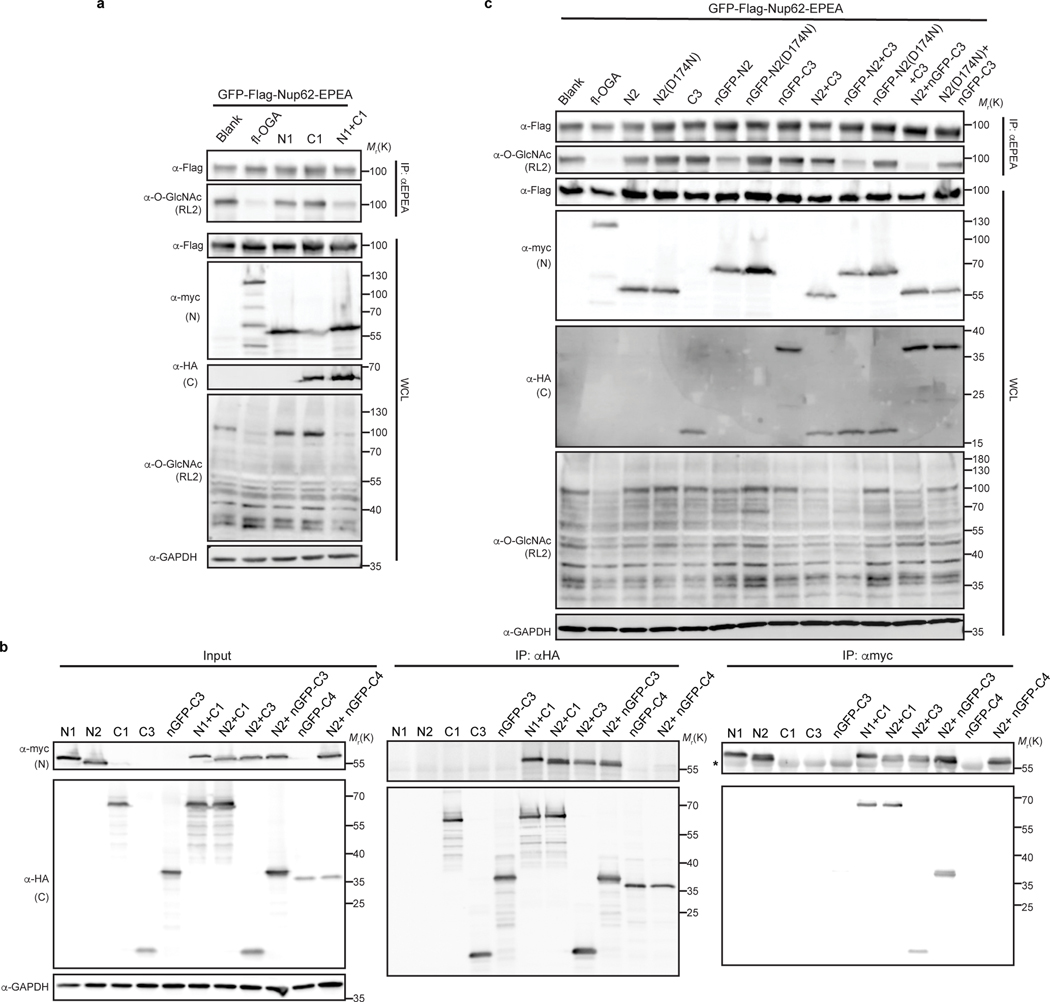 Extended Data Fig. 4