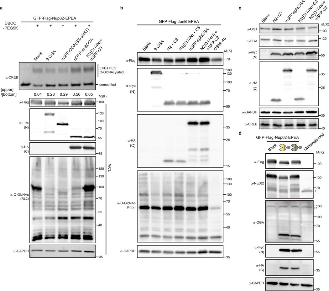 Extended Data Fig. 5