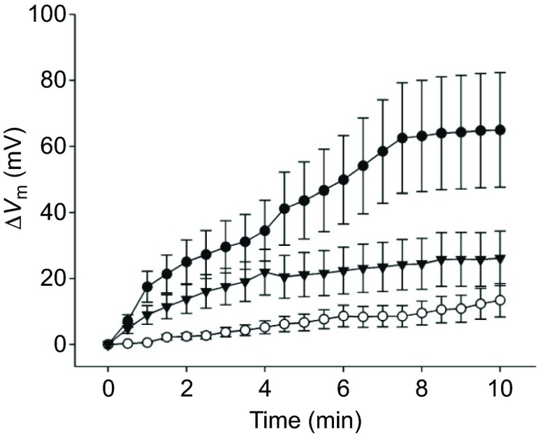 Fig. 9.