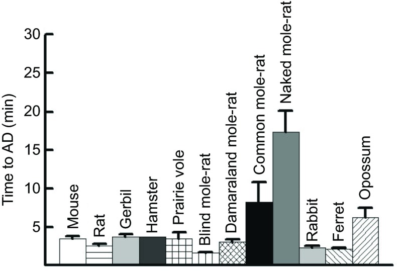 Fig. 12.