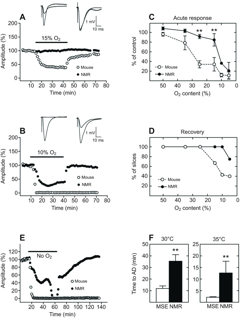 Fig. 10.