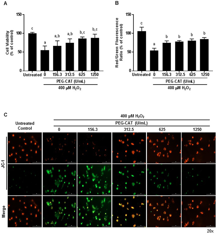 Figure 3: