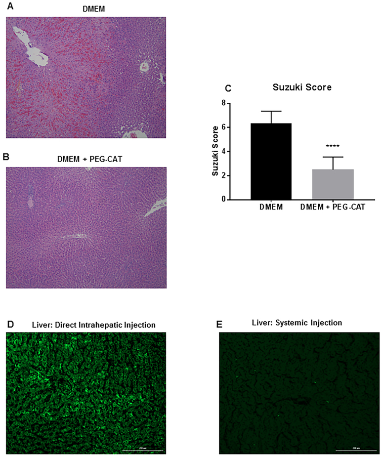 FIGURE 6: