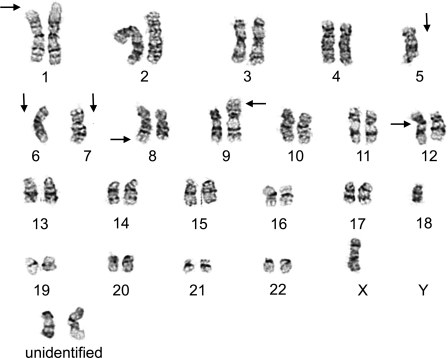 Fig. 2.