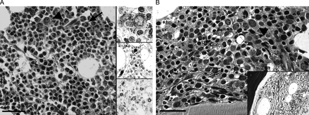 Fig. 3.