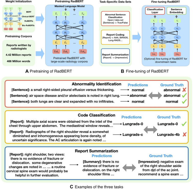 Overview of our study design, which includes pretraining and fine-tuning of RadBERT. (A) In pretraining, different weight initializations were considered to create variants of RadBERT. (B) The variants were fine-tuned for three important radiology natural language processing (NLP) tasks: abnormal sentence classification, report coding, and report summarization. The performance of RadBERT variants for these tasks was compared with a set of intensively studied transformer-based language models as baselines. (C) Examples of each task and how performance was measured. In the abnormality identification task, a sentence in a radiology report was considered “abnormal” if it reported an abnormal finding and “normal” otherwise. A human-annotated abnormality was considered ground truth to evaluate the performance of an NLP model. In the code classification task, models were expected to output diagnostic codes (eg, abdominal aortic aneurysm, Breast Imaging Reporting and Data System [BI-RADS], and Lung Imaging Reporting and Data System [Lung-RADS]) that match the codes given by human providers as the ground truth for a given radiology report. During report summarization, the models generated a short summary given the findings in a radiology report. Summary quality was measured by how similar it was to the impression section of the input report. AAA = abdominal aortic aneurysm, BERT = bidirectional encoder representations from transformers, RadBERT = BERT-based language model adapted for radiology, RoBERTa = robustly optimized BERT pretraining approach.