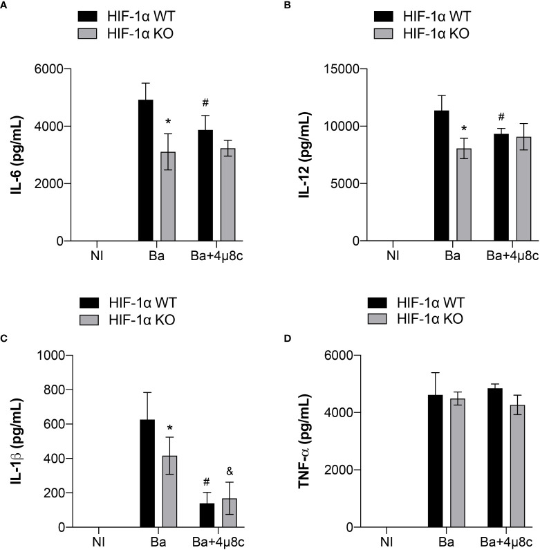 Figure 6