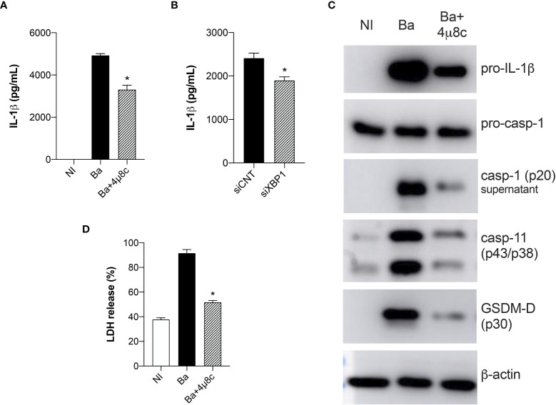 Figure 7