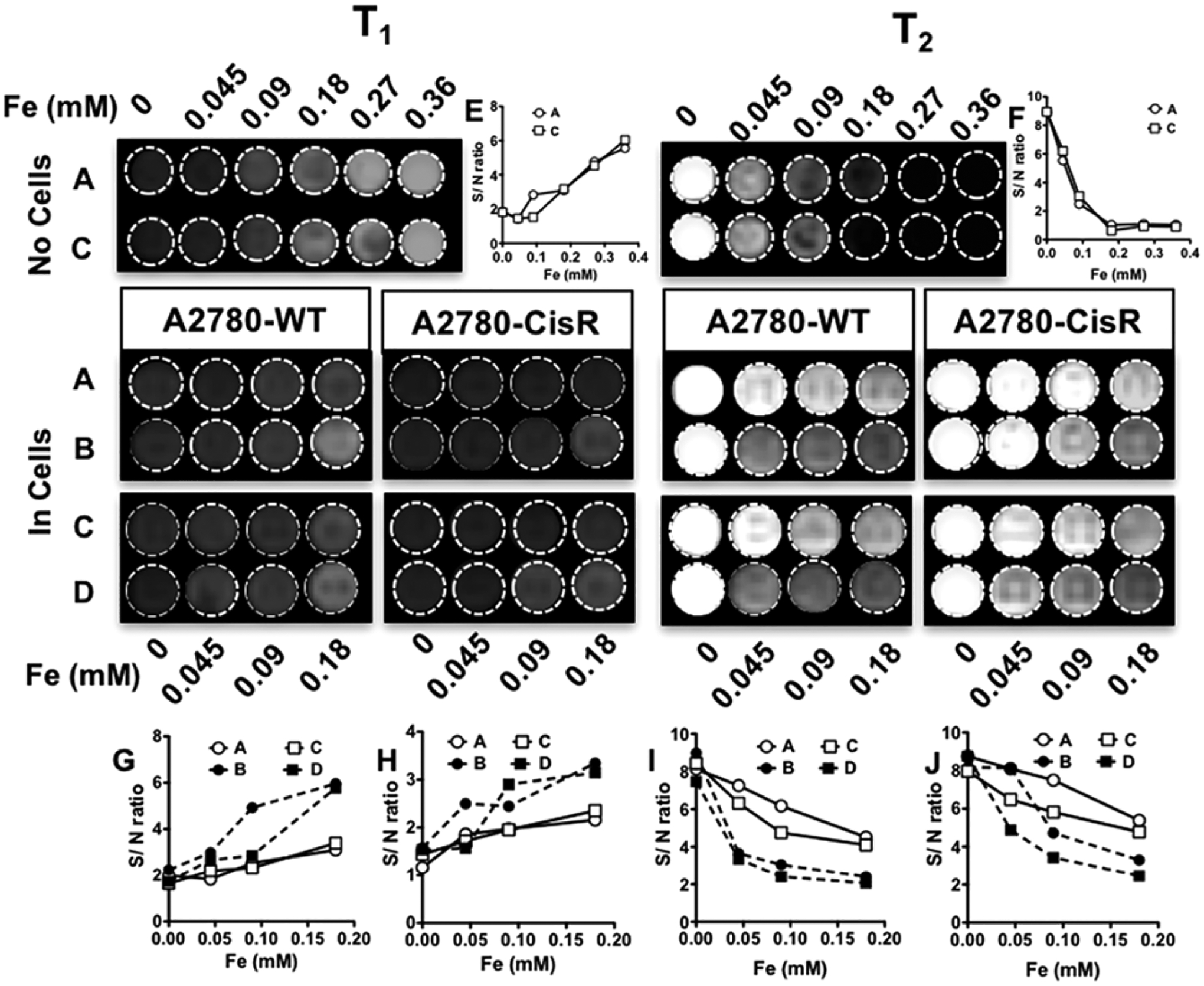 Figure 9.