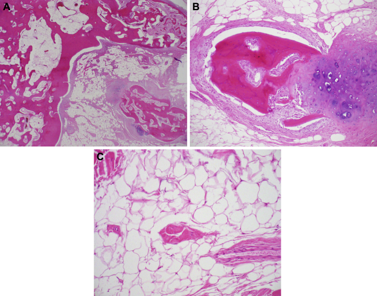 Fig. 3