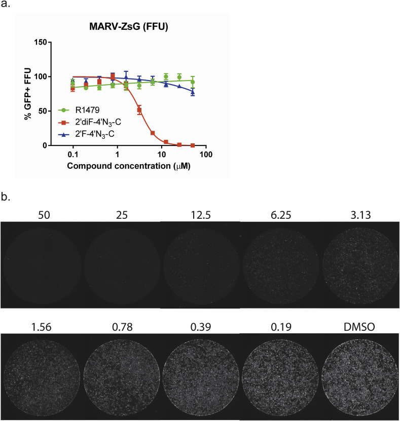 Fig. 10