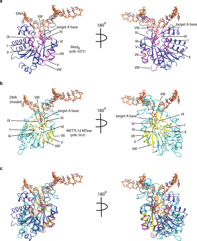 Figure 1—figure supplement 1.