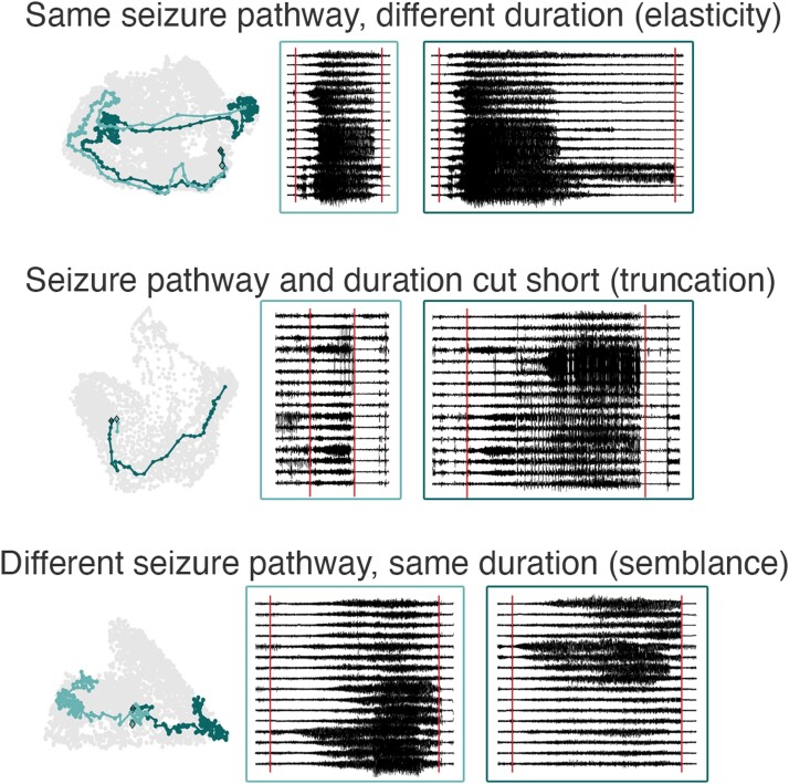 Graphical abstract