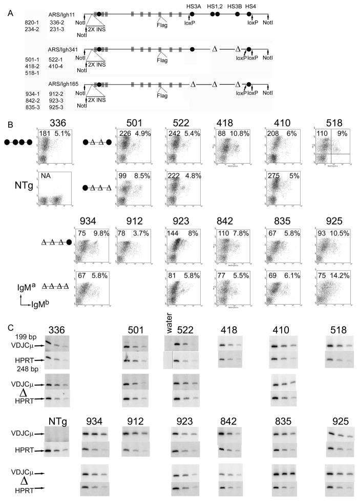 FIGURE 1