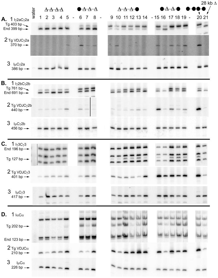 FIGURE 3