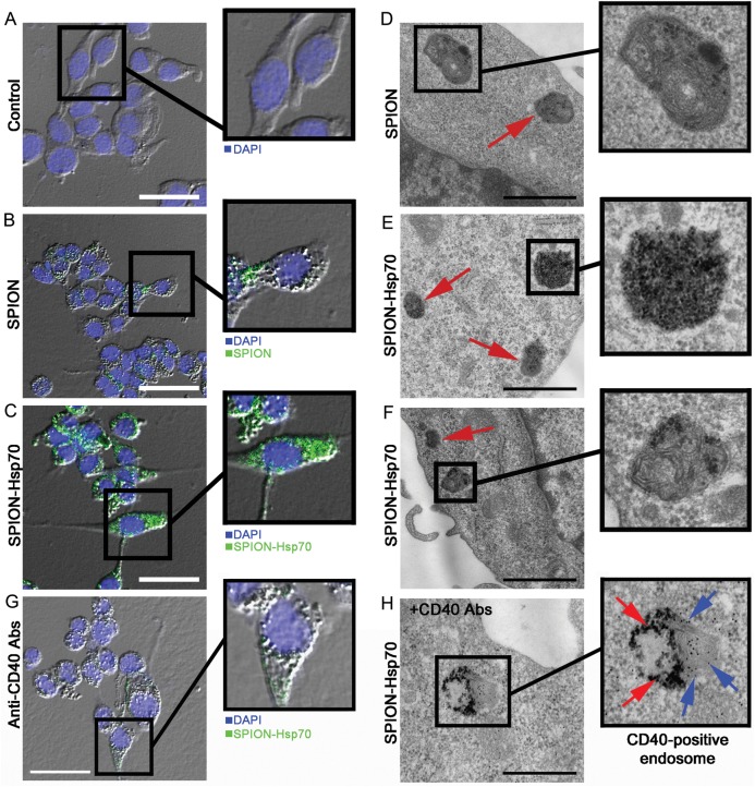 Fig. 4.