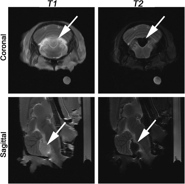 Fig. 6.