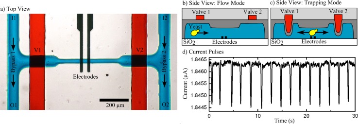 FIG. 1.