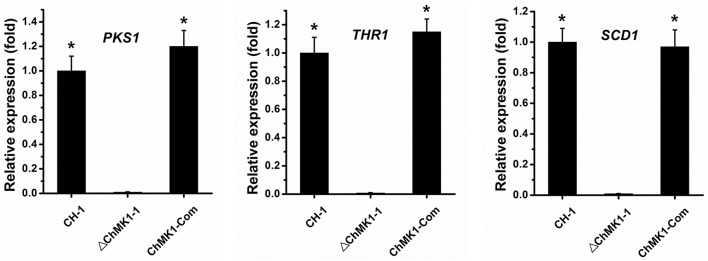 Figure 5