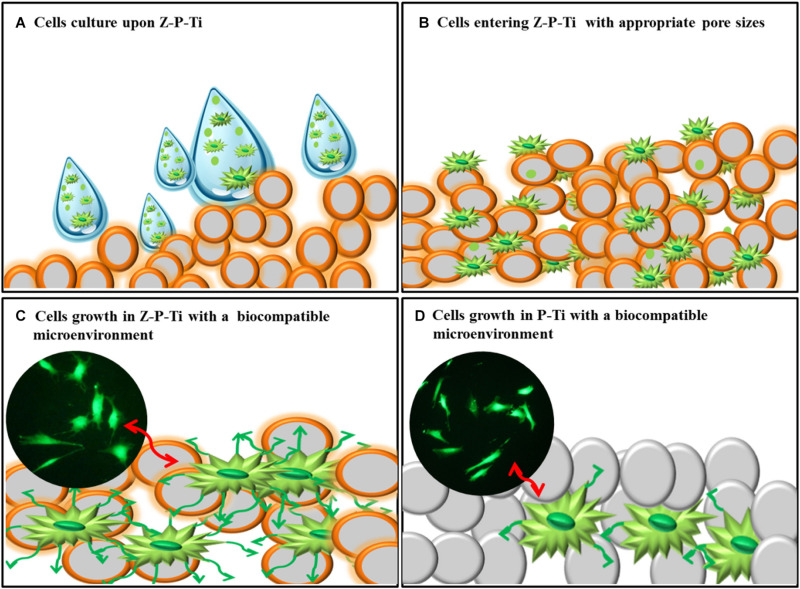 FIGURE 9