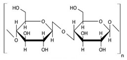 graphic file with name pharmaceuticals-14-01201-i001.jpg