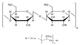 graphic file with name pharmaceuticals-14-01201-i007.jpg