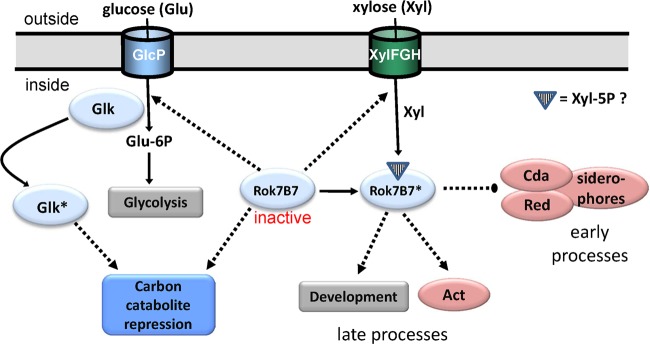 Fig 7