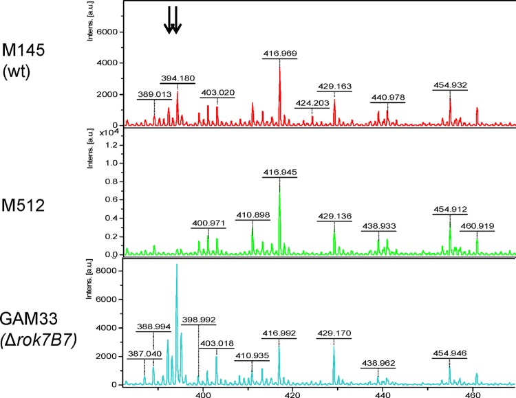 Fig 6