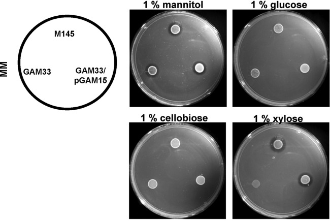 Fig 4