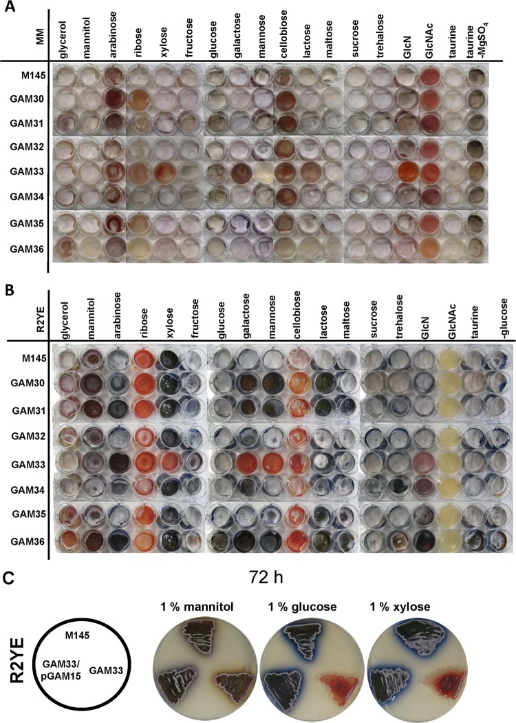 Fig 2