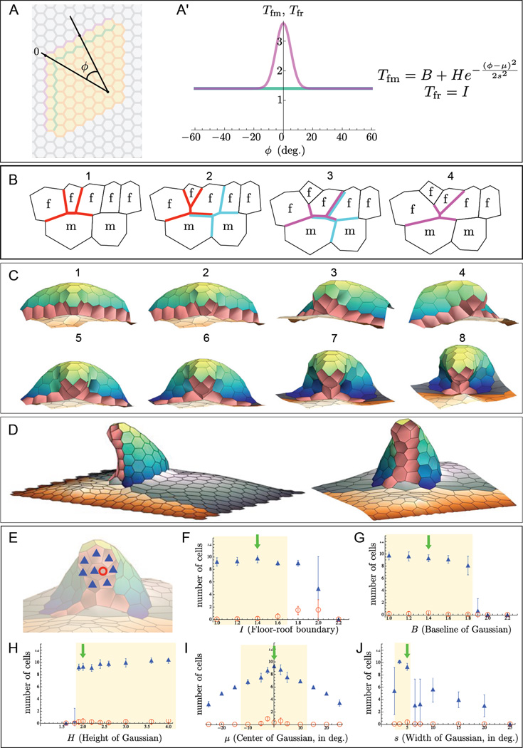 Figure 6