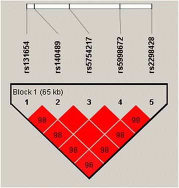 Fig. 1