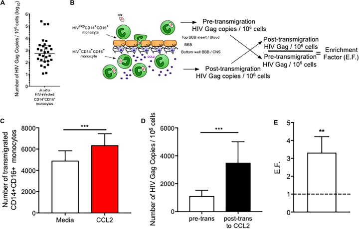 FIG 3 