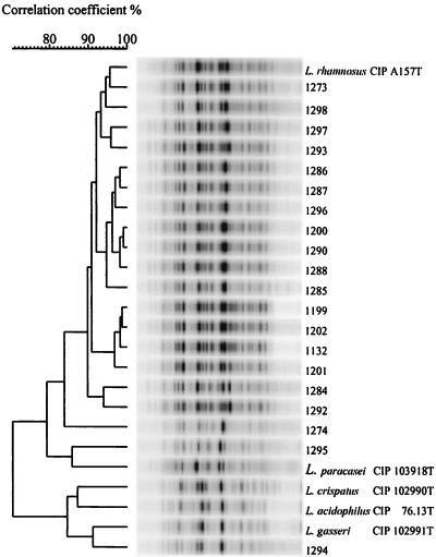 FIG. 1