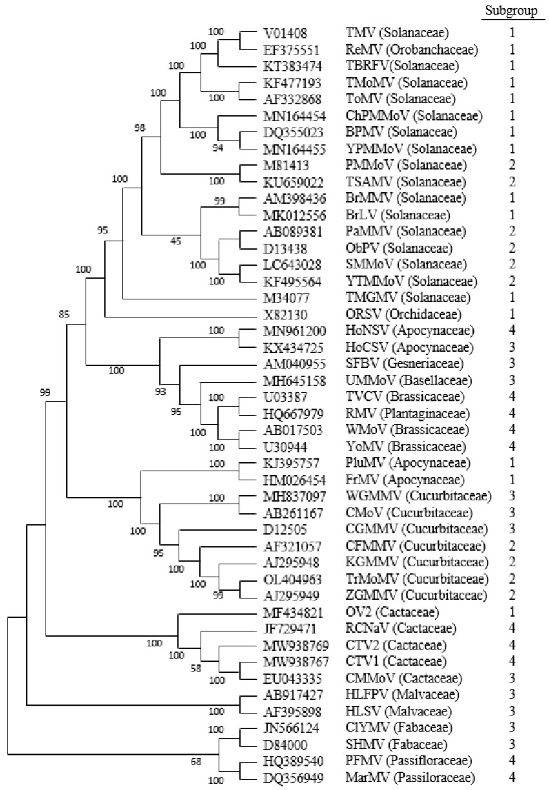 Figure 5