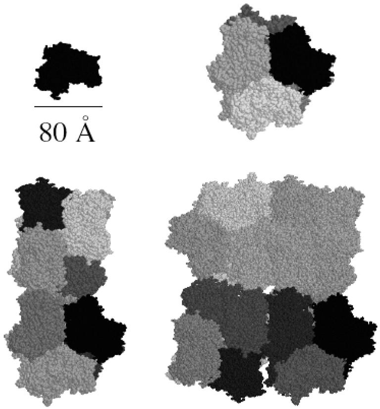 FIGURE 3