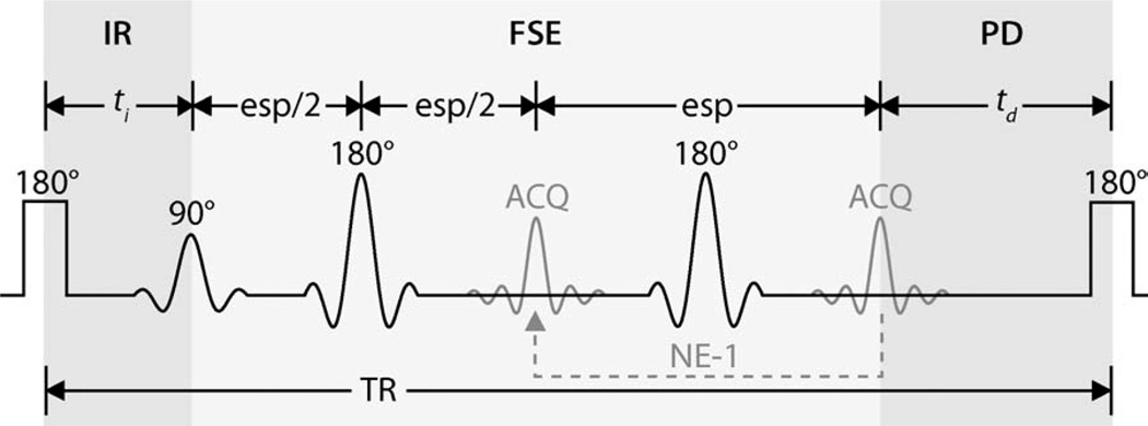 FIG. 1