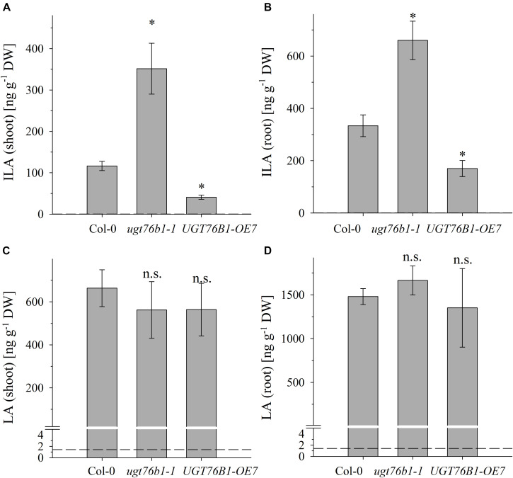 FIGURE 3